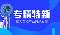 HEL壓敏電阻生產(chǎn)工廠被評(píng)為專精特新中小企業(yè)